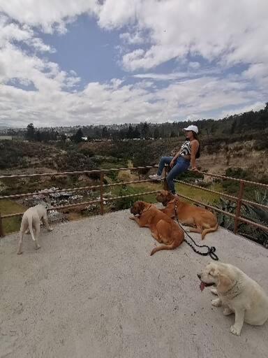 Fakali Homestay Quito Exteriör bild